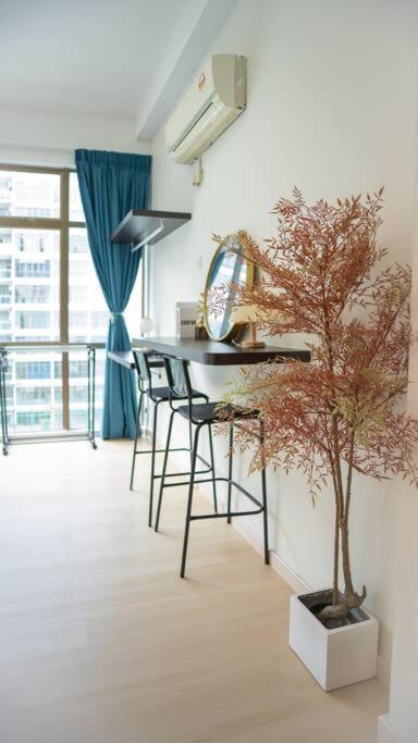 Mount Austin #palazio B1 Modern Cozy 1-2pax #mspro Johor Bahru